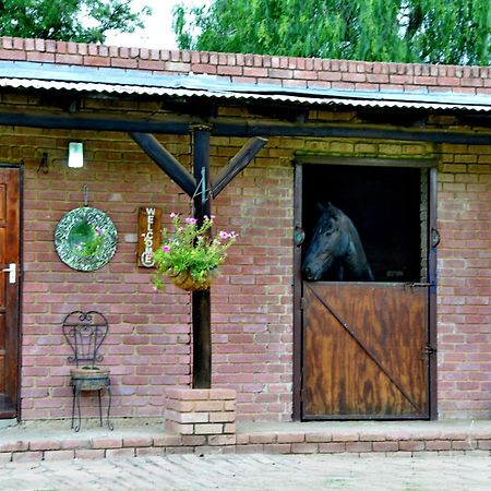 Owls Loft Guest House Мидранд Экстерьер фото