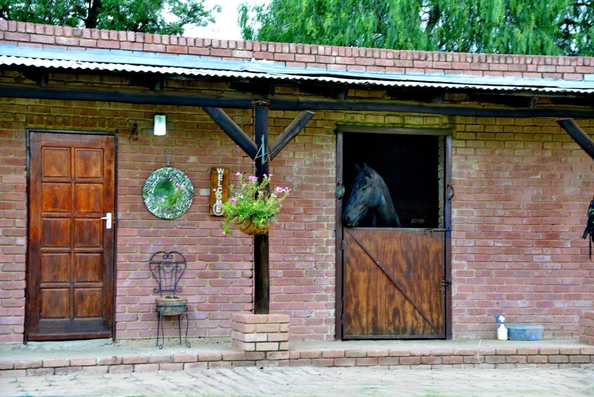 Owls Loft Guest House Мидранд Экстерьер фото