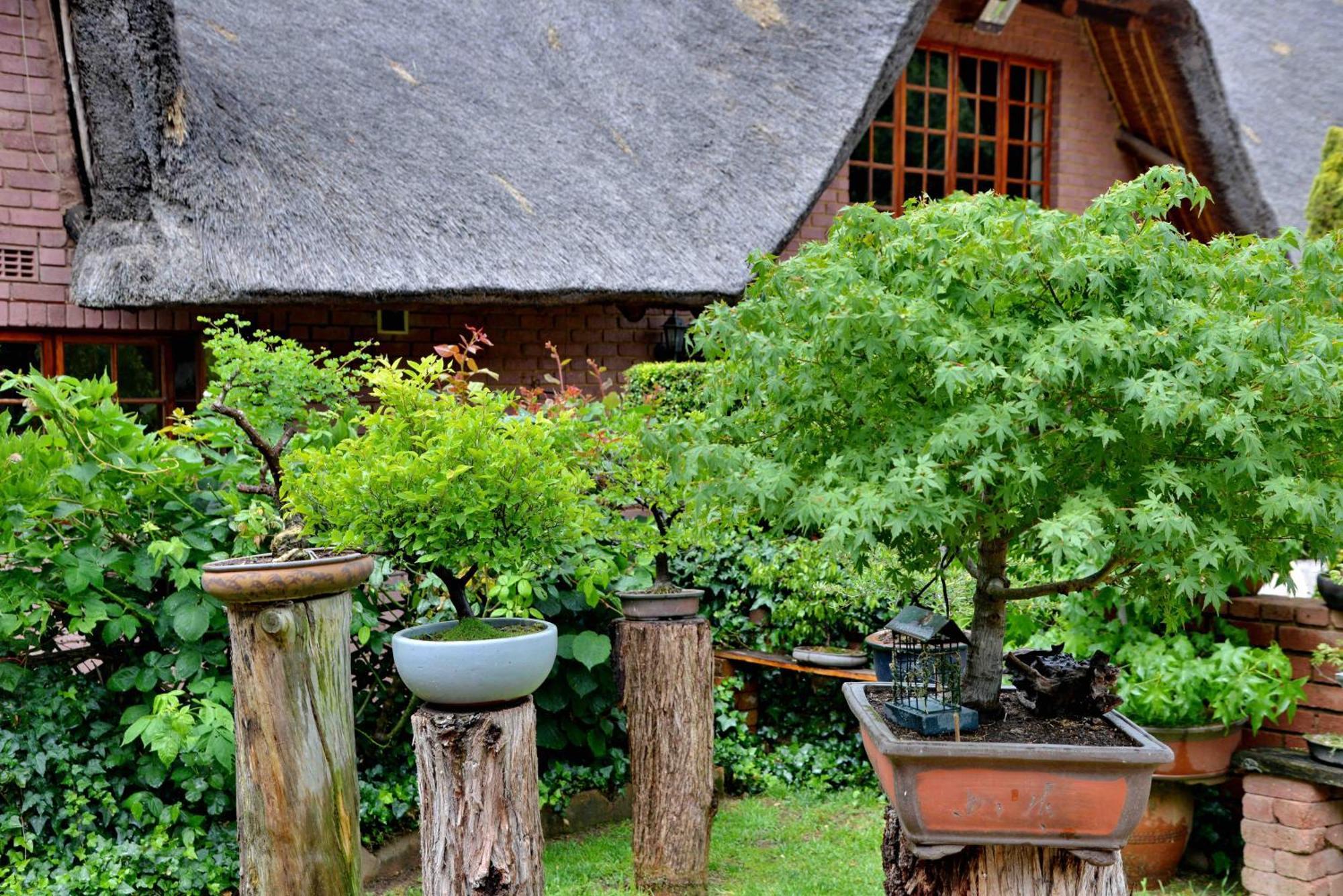 Owls Loft Guest House Мидранд Экстерьер фото